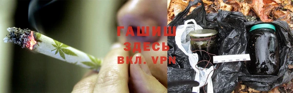ПСИЛОЦИБИНОВЫЕ ГРИБЫ Баксан