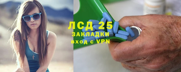 ПСИЛОЦИБИНОВЫЕ ГРИБЫ Баксан