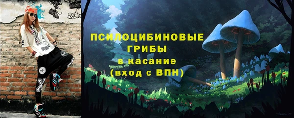 ПСИЛОЦИБИНОВЫЕ ГРИБЫ Баксан