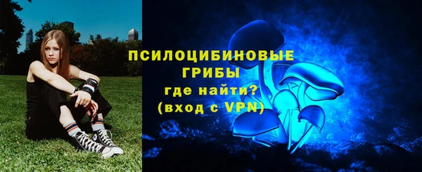 ПСИЛОЦИБИНОВЫЕ ГРИБЫ Баксан